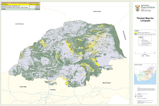 forestry-10