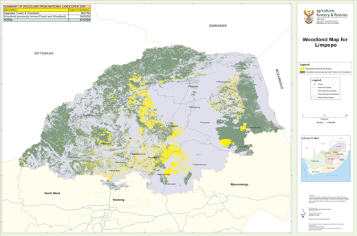 forestry-11