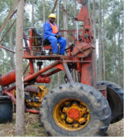 forestry-5